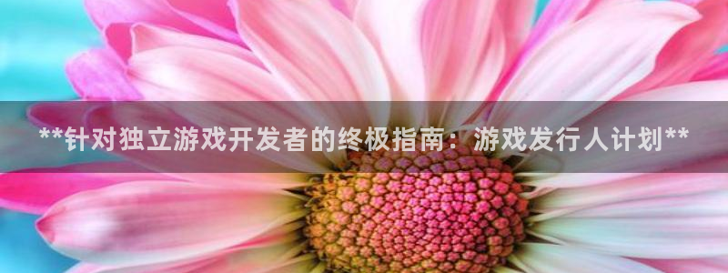 新城平台代理怎么做：**针对独立游戏开发者的终极指南：游戏发行人计划**