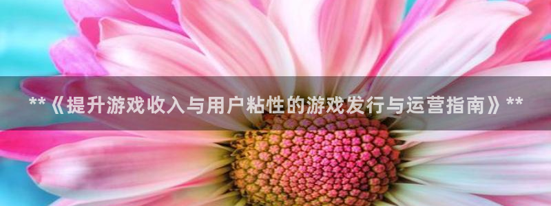 新城平台总代