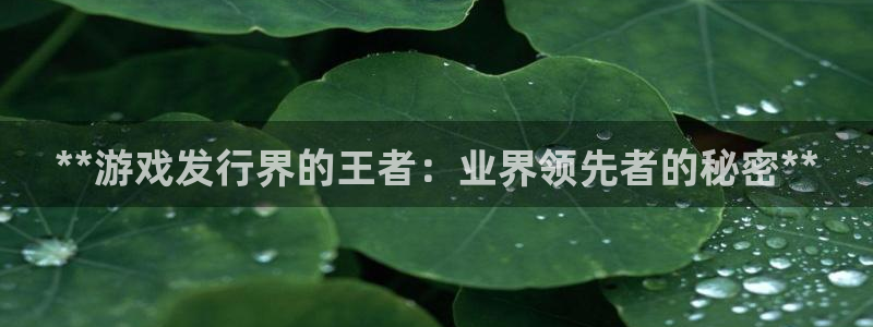 新城平台是干嘛的