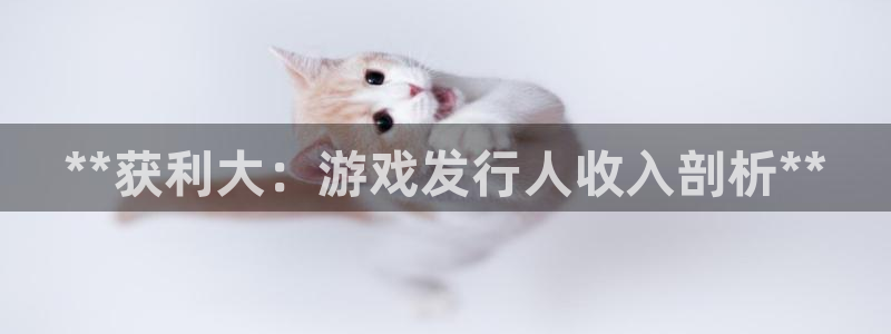 新城平台官网首页
