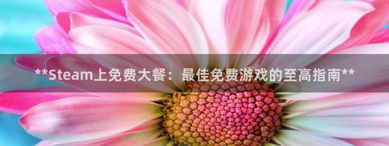 新城平台登录入口网站