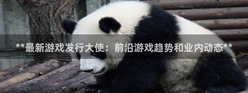 新城平台登录入口官网查询网址
