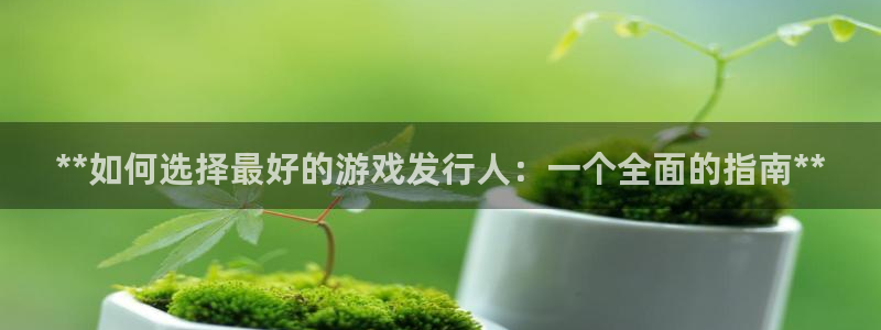 新城平台线路登录不上去怎么回事