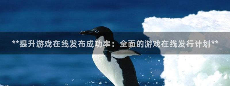 新城平台登录入口：**提升游戏在线发布成功率：全面的游戏在线发行计划**