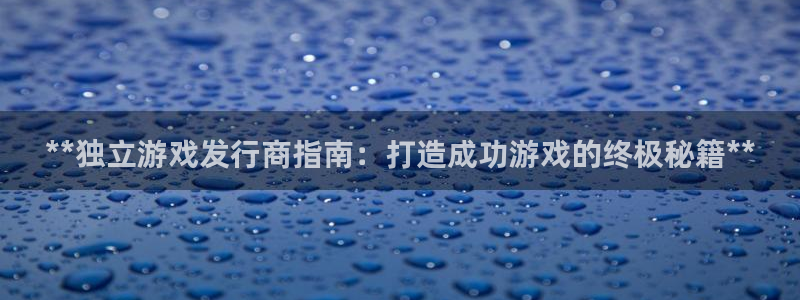 新城平台平台最新活动有哪些：**独立游戏发行商指南：打造成功游戏的终极秘籍**
