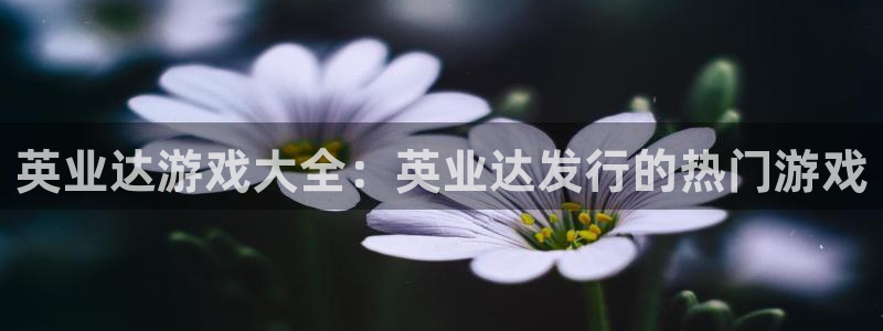 新城平台代理怎么样：英业达游戏大全：英业达发行的热门游戏