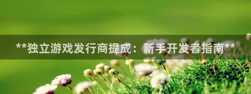新城平台开户：**独立游戏发行商提成：新手开发者指南**