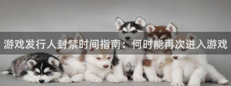 新城平台是干嘛的公司：游戏发行人封禁时间指南：何时能再次进入游戏