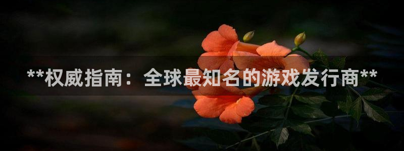 新城平台线路登录不上去怎么办：**权威指南：全球最知名的游戏发行商**