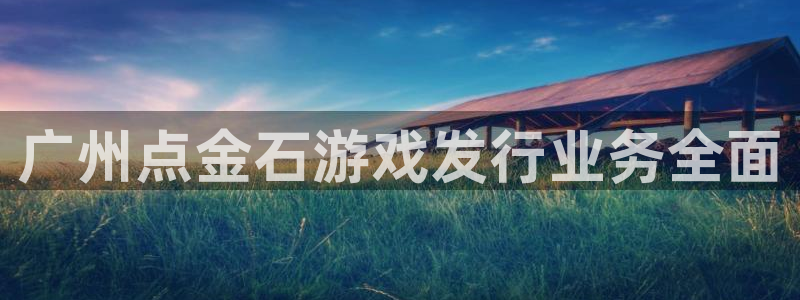 新城平台是正规平台吗：广州点金石游戏发行业务全面