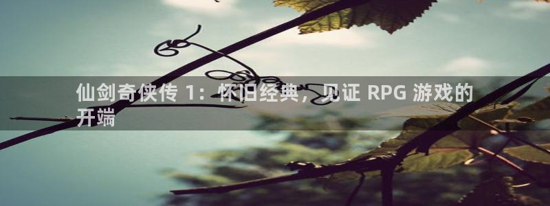 新城平台代理注册公司：仙剑奇侠传 1：怀旧经典，见证 RPG 游戏的
开端