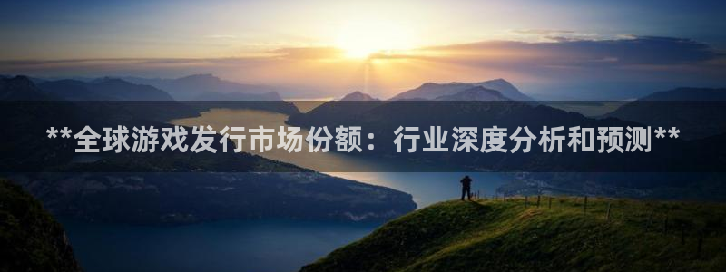 新城平台注册流程及费用：**全球游戏发行市场份额：行业深度分析和预测**