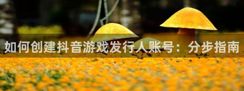 新城平台怎么样：如何创建抖音游戏发行人账号：分步指南