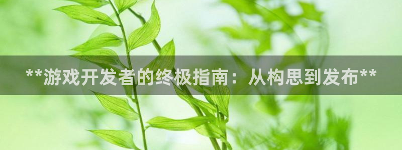 新城平台登录入口官网下载app：**游戏开发者的终极指南：从构思到发布**