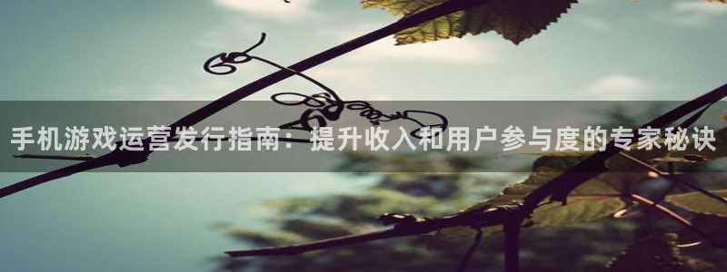 新城平台注册登录地址怎么填：手机游戏运营发行指南：提升收入和用户参与度的专家秘诀