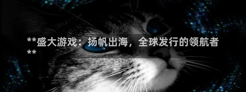 新城平台房7O777：**盛大游戏：扬帆出海，全球发行的领航者
**