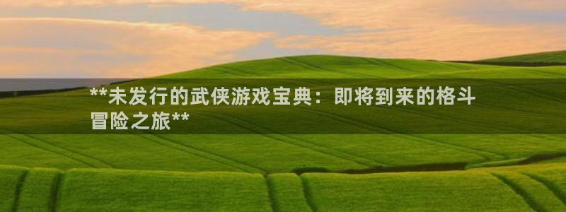 新城平台负责人：**未发行的武侠游戏宝典：即将到来的格斗
冒险之旅**