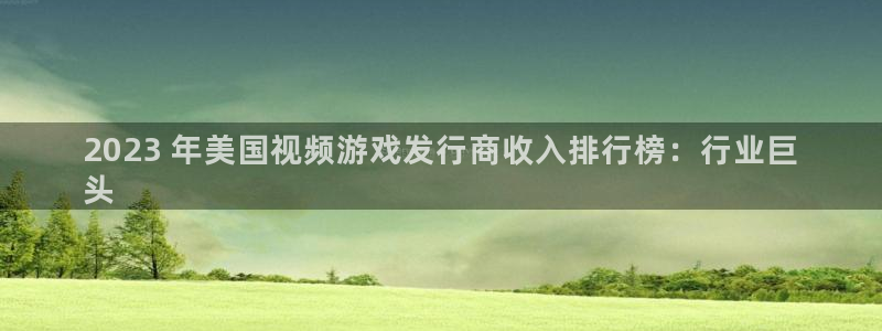 新城平台公司