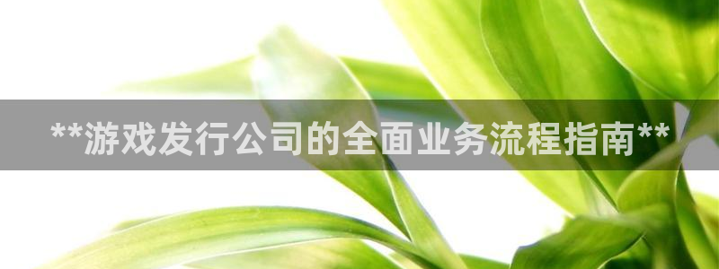 新城平台登录入口官网下载安装：**游戏发行公司的全面业务流程指南**