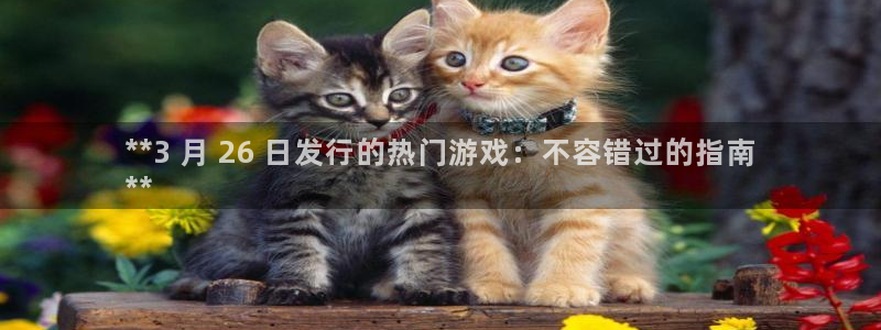 新城平台游戏