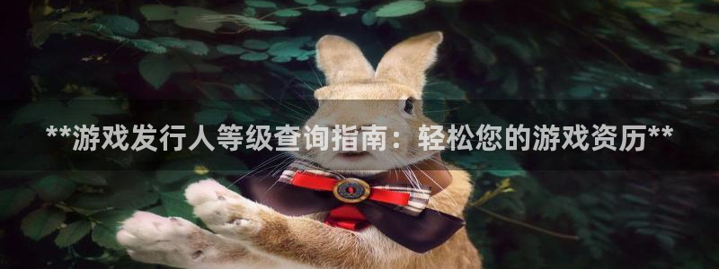 新城平台登录入口官网首页查询：**游戏发行人等级查询指南：轻松您的游戏资历**