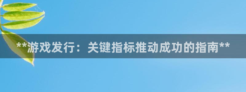 新城平台登录密码忘了怎么找回：**游戏发行：关键指标推动成功的指南**