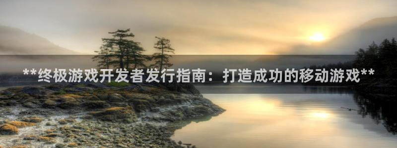 新城平台
