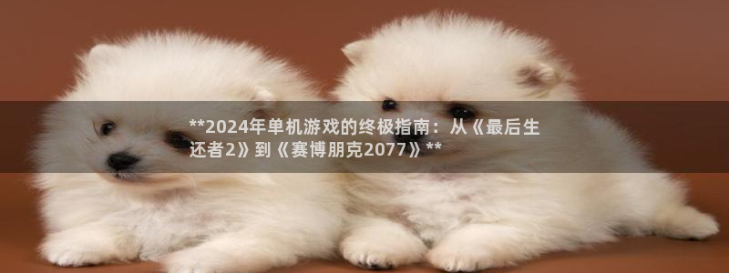 新城平台代理注册流程：**2024年单机游戏的终极指南：从《最后生
还者2》到《赛博朋克2077》**