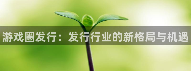 新城平台线路登录不上去怎么回事儿