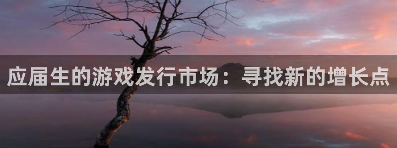 新城平台注册公司流程