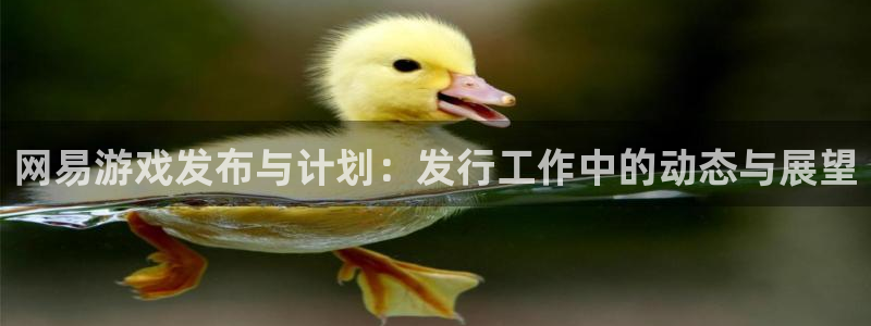 新城平台代理注册流程