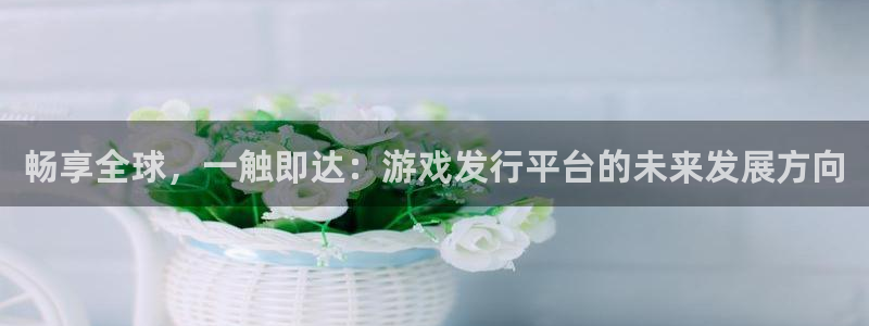 新城平台注册网址是多少