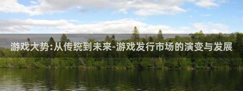 新城平台公司