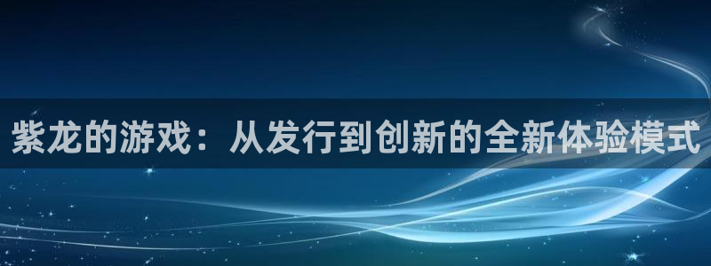 新城平台总代理是谁