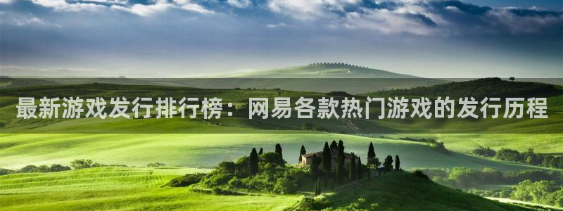 新城平台属于哪个系列