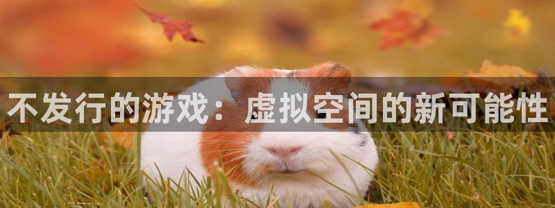 新城平台登录入口官网网址是多少