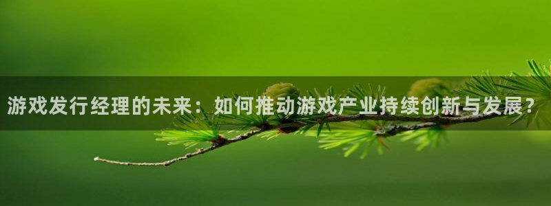 新城平台网址