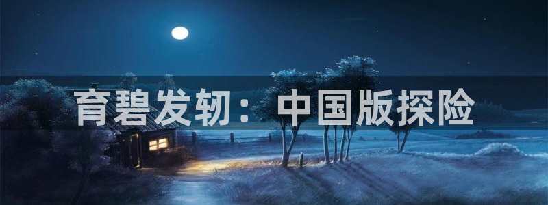 新城平台公司