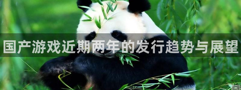 新城平台代理注册条件：国产游戏近期两年的发行趋势与展望