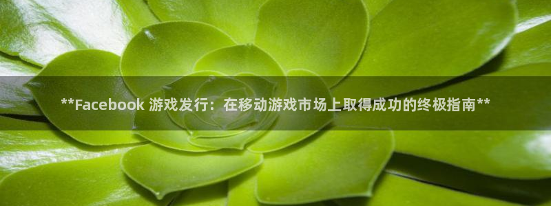 新城平台注册登录地址是什么：**Facebook 游戏发行：在移动游戏市场上取得成功的终极指南**