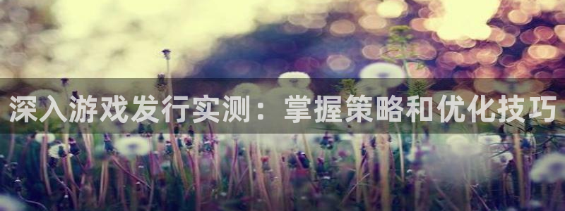 新城平台游戏