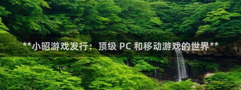 新城平台足7O777：**小昭游戏发行：顶级 PC 和移动游戏的世界**