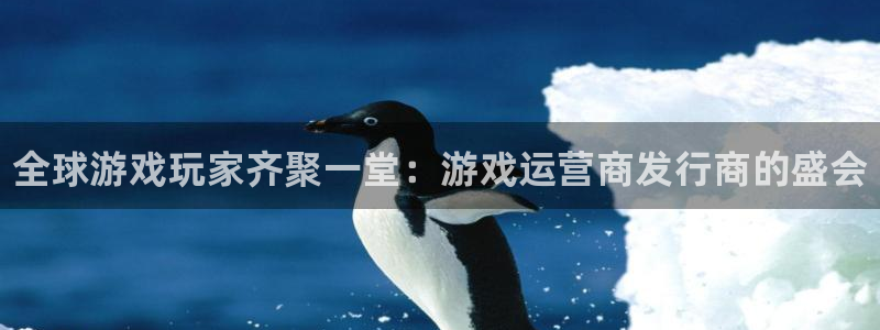 新城平台负责人电话