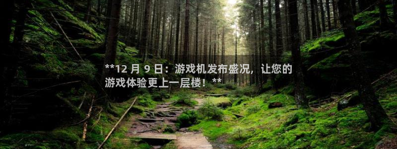 新城平台负责人：**12 月 9 日：游戏机发布盛况，让您的
游戏体验更上一层楼！**