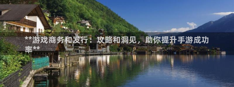 新城平台注册网址是多少：**游戏商务和发行：攻略和洞见，助你提升手游成功
率**