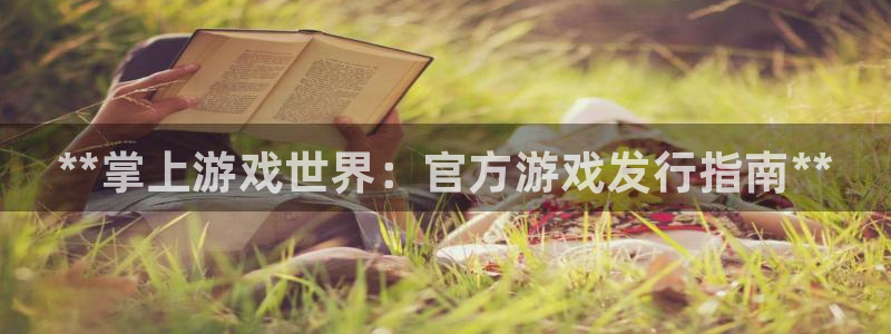 新城平台登陆：**掌上游戏世界：官方游戏发行指南**