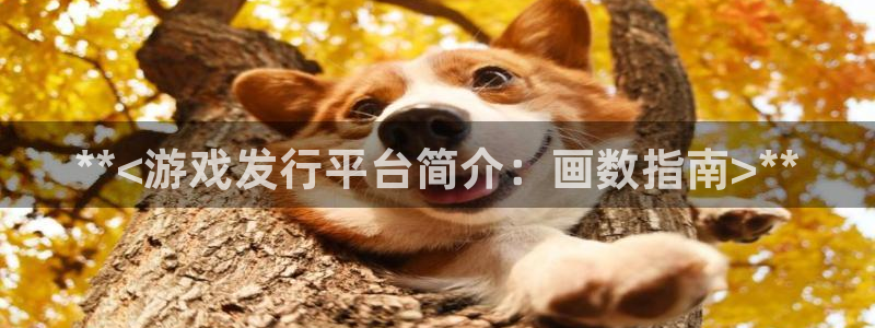 新城平台线路登录不上去：**<游戏发行平台简介：画数指南>**