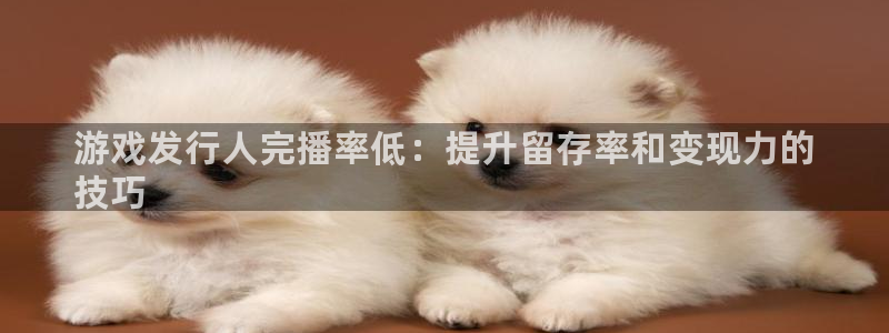 新城平台登录入口官网查询系统：游戏发行人完播率低：提升留存率和变现力的
技巧