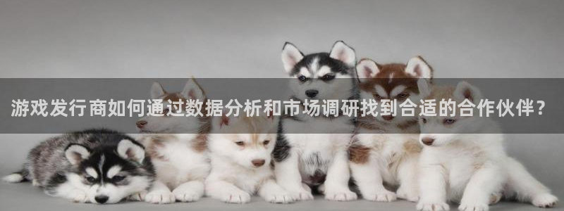 新城平台线路登录不上去了：游戏发行商如何通过数据分析和市场调研找到合适的合作伙伴？