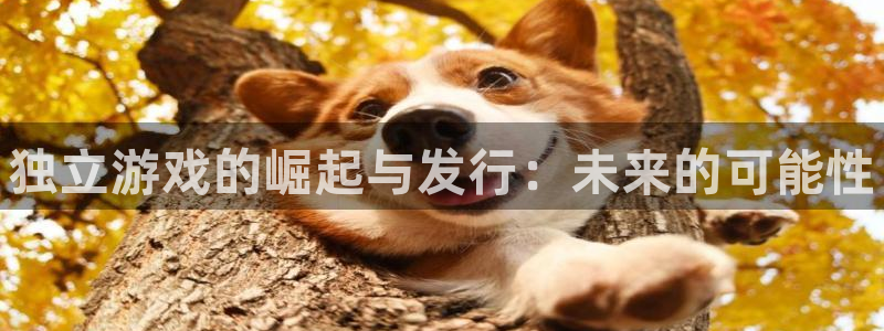 新城平台注册流程及费用：独立游戏的崛起与发行：未来的可能性